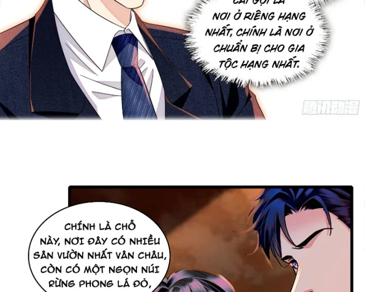Chàng Rể Bị Vứt Bỏ Lên Ngôi Chapter 17 - Trang 10