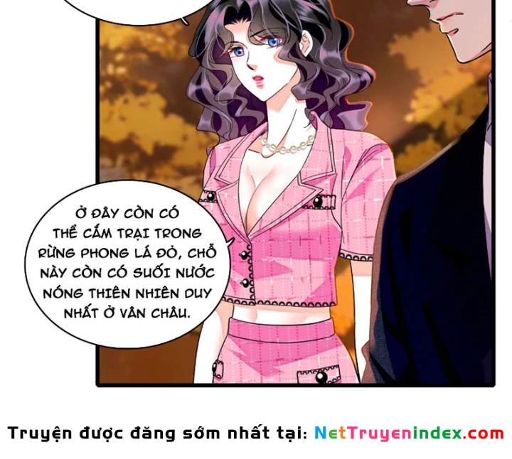 Chàng Rể Bị Vứt Bỏ Lên Ngôi Chapter 17 - Trang 11