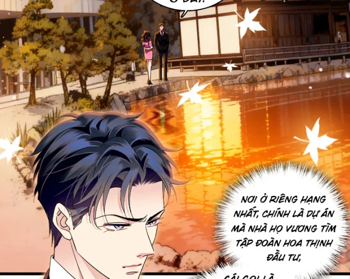 Chàng Rể Bị Vứt Bỏ Lên Ngôi Chapter 17 - Trang 9