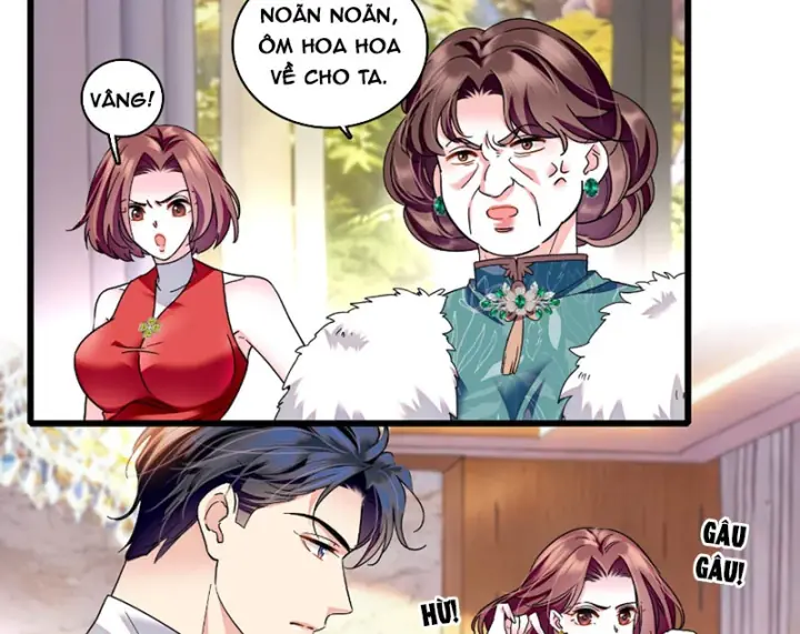 Chàng Rể Bị Vứt Bỏ Lên Ngôi Chapter 19 - Trang 5