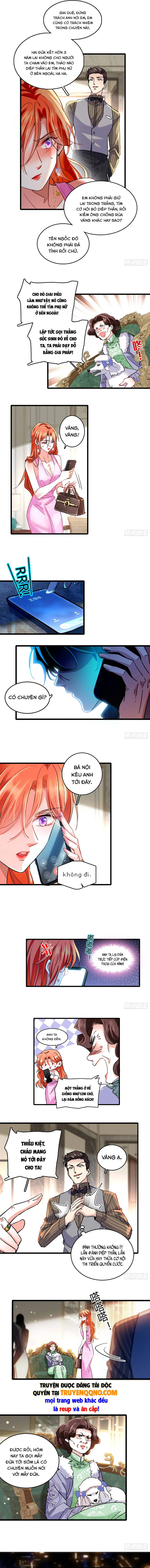 Chàng Rể Bị Vứt Bỏ Lên Ngôi Chapter 2 - Trang 5