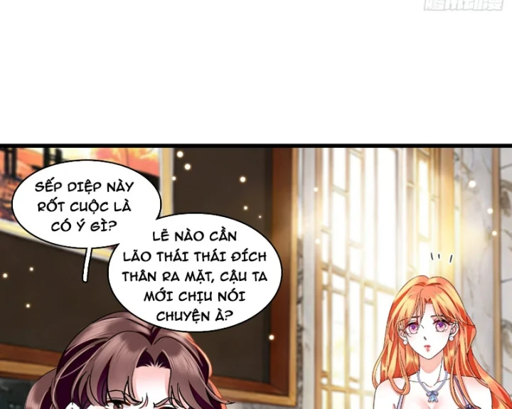 Chàng Rể Bị Vứt Bỏ Lên Ngôi Chapter 24 - Trang 36