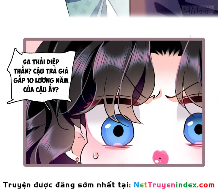 Chàng Rể Bị Vứt Bỏ Lên Ngôi Chapter 27 - Trang 13