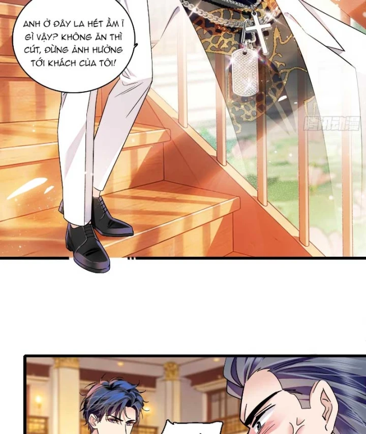 Chàng Rể Bị Vứt Bỏ Lên Ngôi Chapter 28 - Trang 19