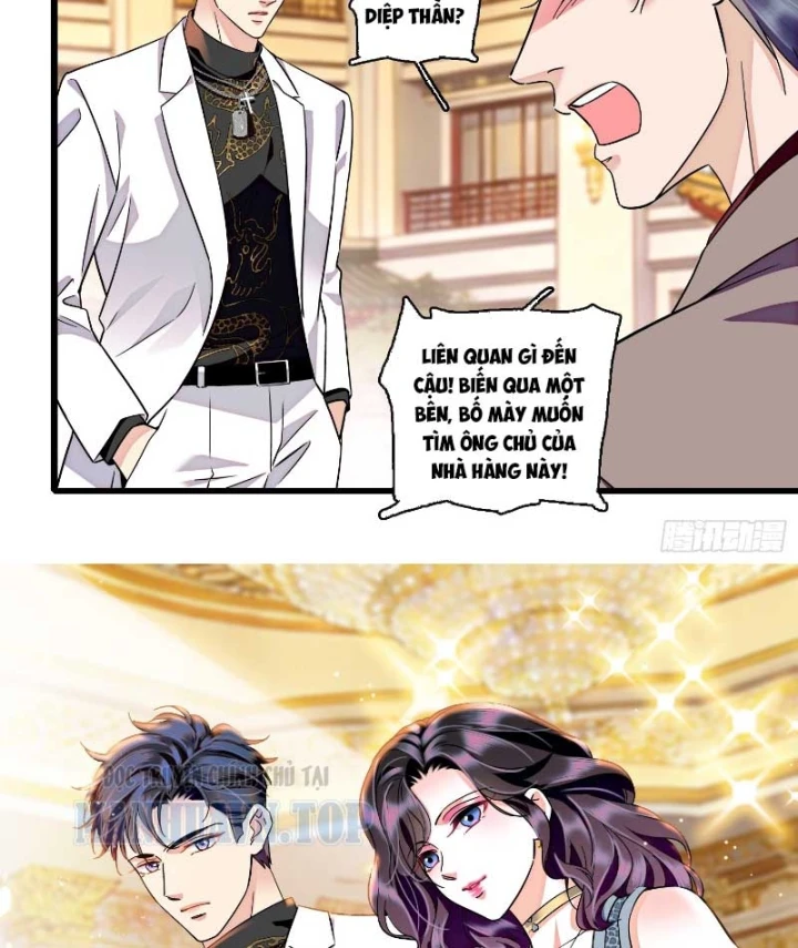 Chàng Rể Bị Vứt Bỏ Lên Ngôi Chapter 28 - Trang 20