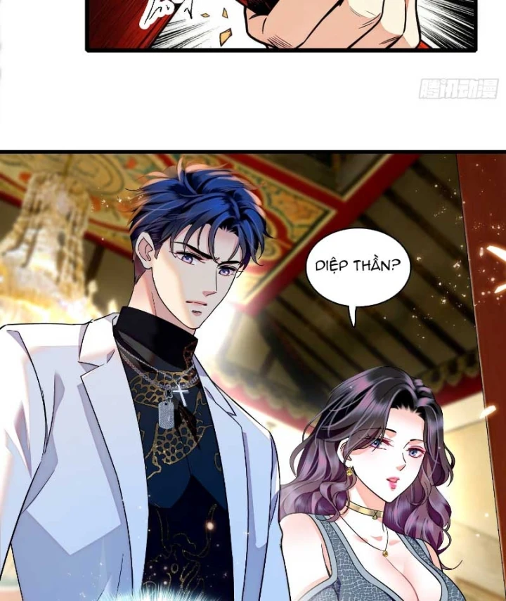 Chàng Rể Bị Vứt Bỏ Lên Ngôi Chapter 28 - Trang 8