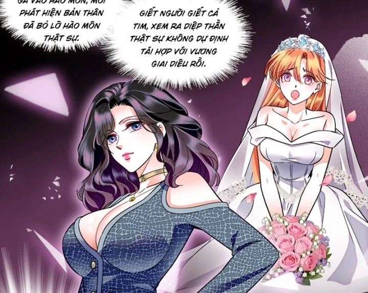 Chàng Rể Bị Vứt Bỏ Lên Ngôi Chapter 29 - Trang 5
