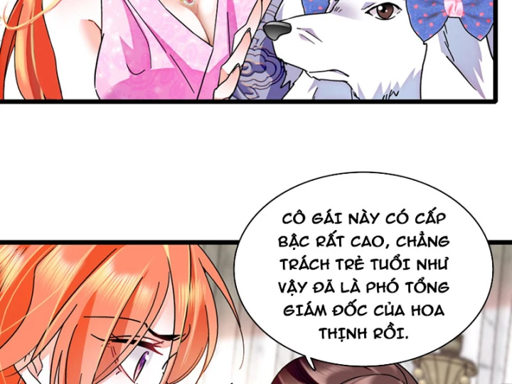 Chàng Rể Bị Vứt Bỏ Lên Ngôi Chapter 7 - Trang 13