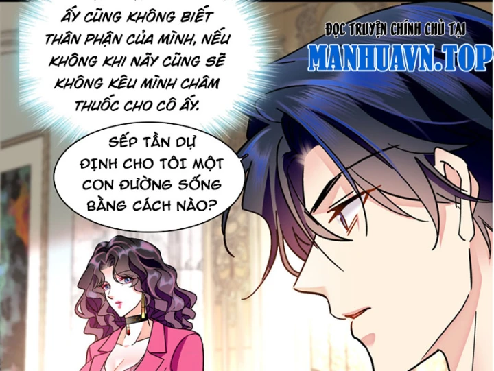 Chàng Rể Bị Vứt Bỏ Lên Ngôi Chapter 7 - Trang 6