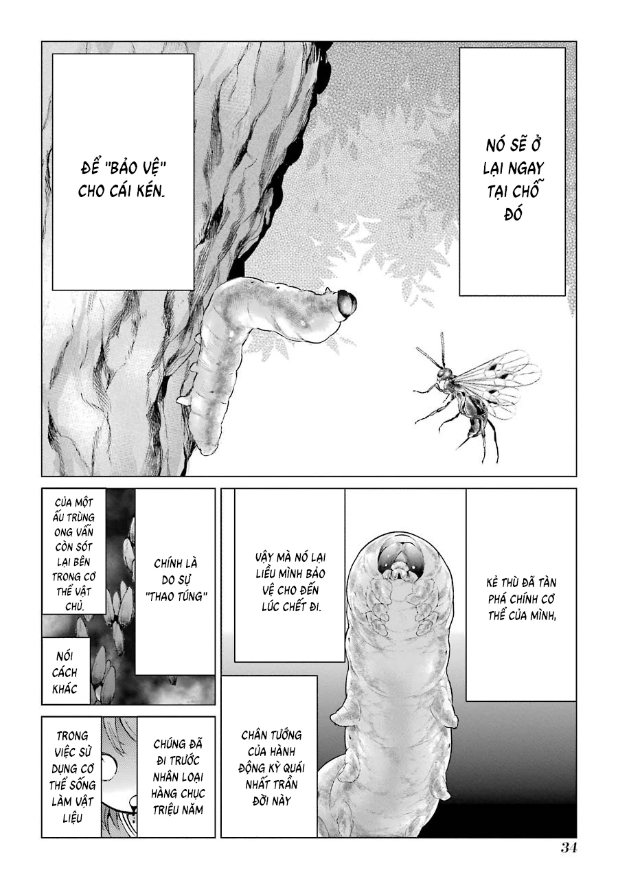 Châu Bùi no Shinobi Chapter 1 - Trang 36