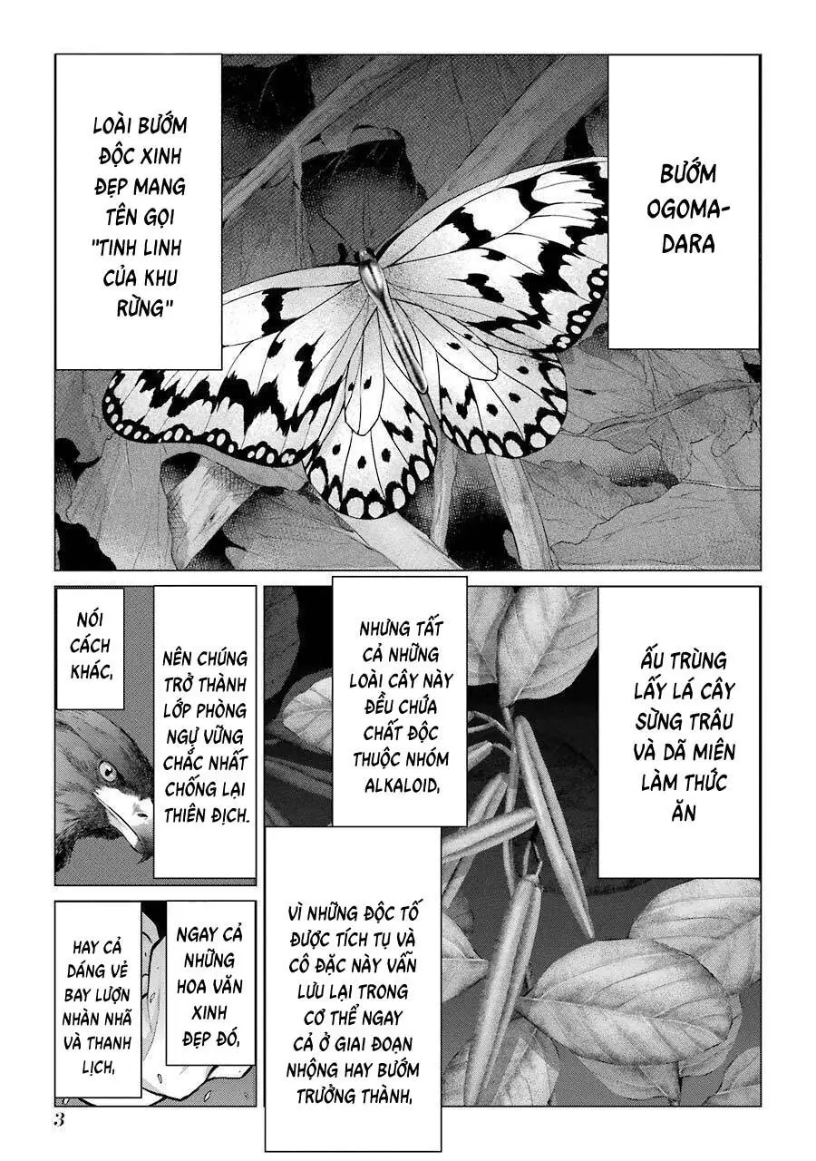 Châu Bùi no Shinobi Chapter 10 - Trang 5