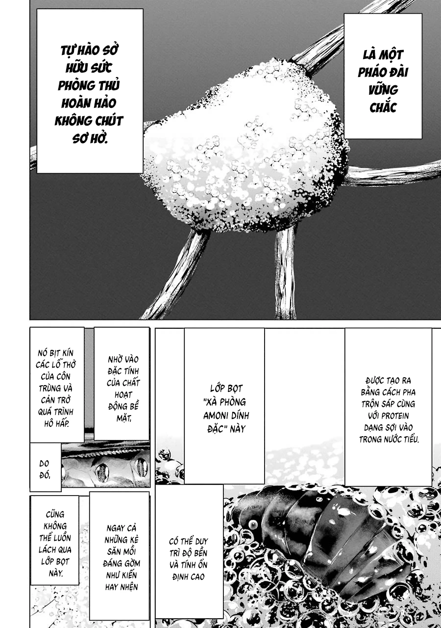 Châu Bùi no Shinobi Chapter 2 - Trang 23
