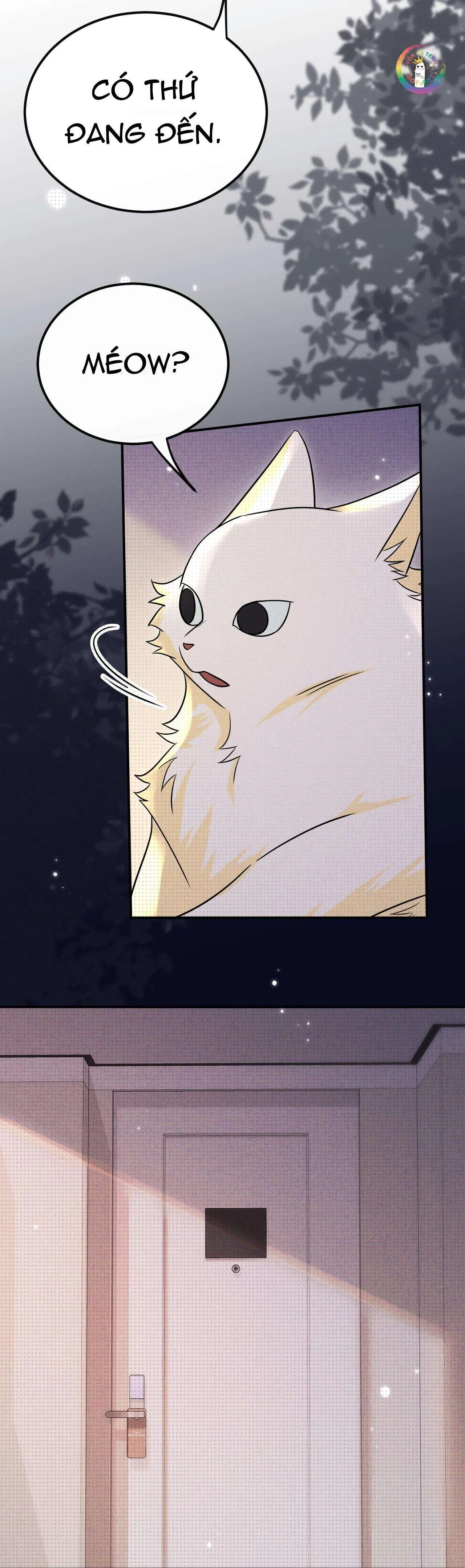 Chí âm Chí Dương Chapter 32 - Trang 13
