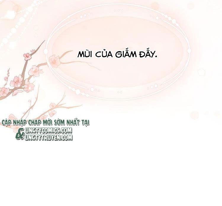 Chỉ Dẫn Ngược Sáng Chapter 2 - Trang 25