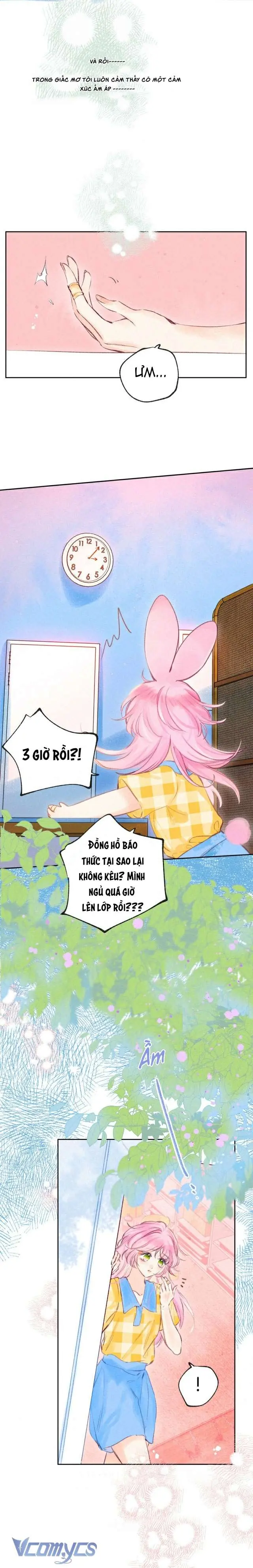 Chiếc Gai Ấm Áp Chapter 13 - Trang 12