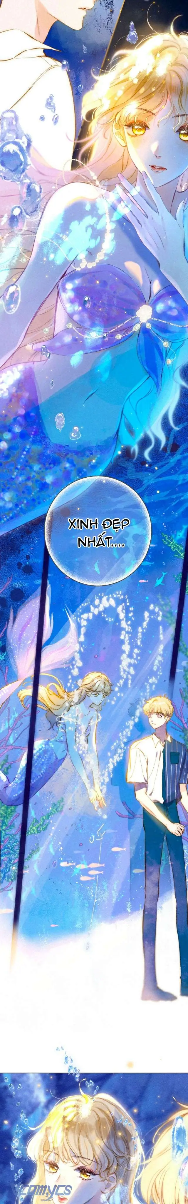 Chiếc Gai Ấm Áp Chapter 15 - Trang 11