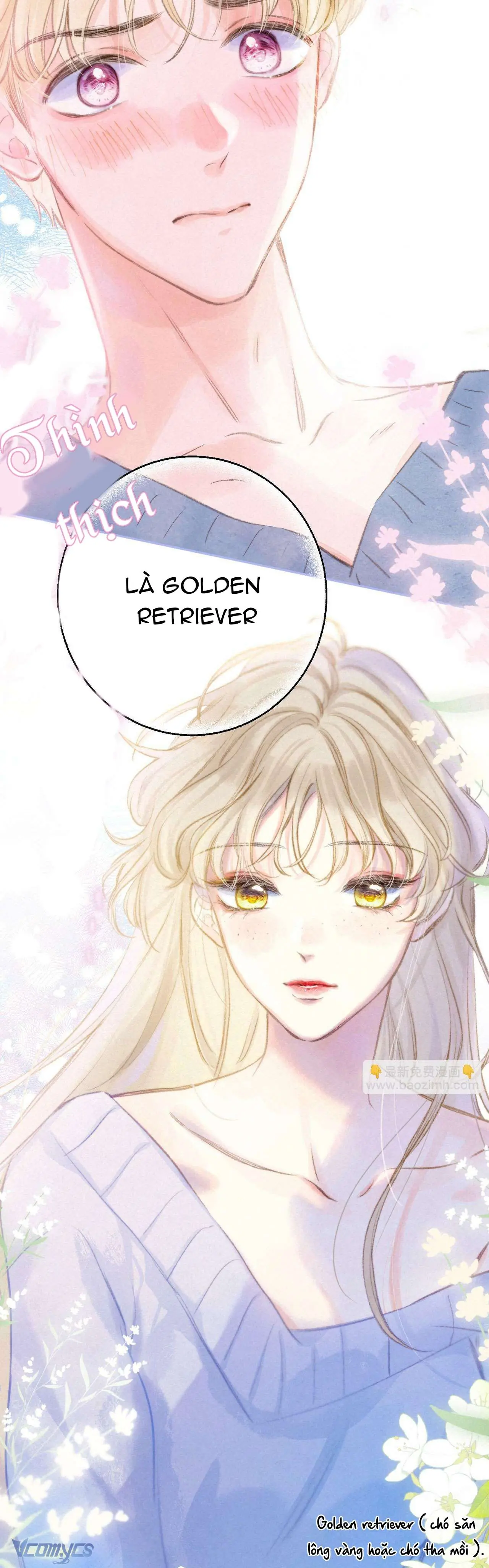 Chiếc Gai Ấm Áp Chapter 23 - Trang 24