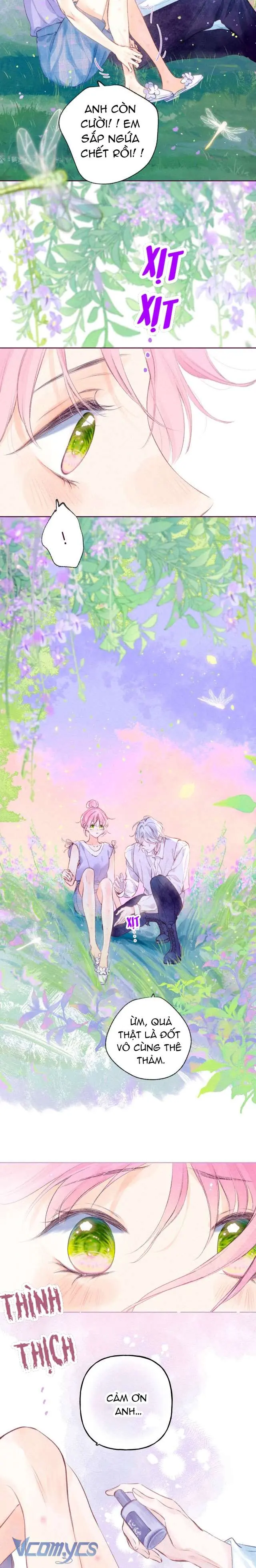 Chiếc Gai Ấm Áp Chapter 6 - Trang 12