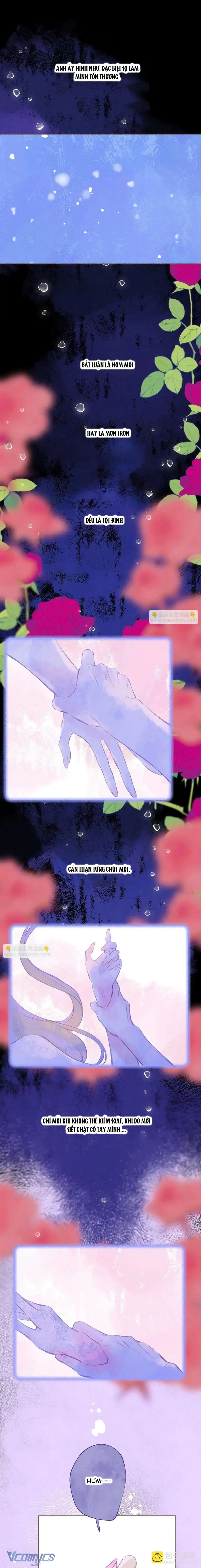 Chiếc Gai Ấm Áp Chapter 64 - Trang 2