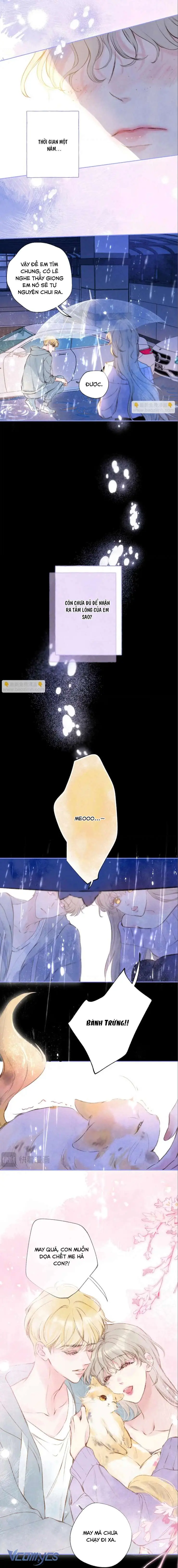 Chiếc Gai Ấm Áp Chapter 70 - Trang 6