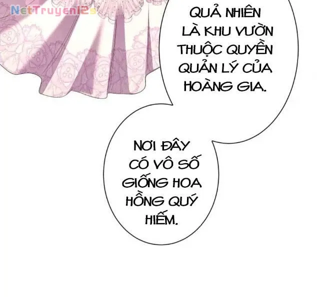 Chiêm Ngưỡng Nữ Phản Diện Hoàn Hảo Chapter 29 - Trang 23
