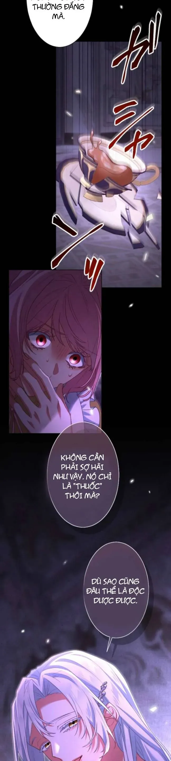 Chiêm Ngưỡng Nữ Phản Diện Hoàn Hảo Chapter 3 - Trang 15
