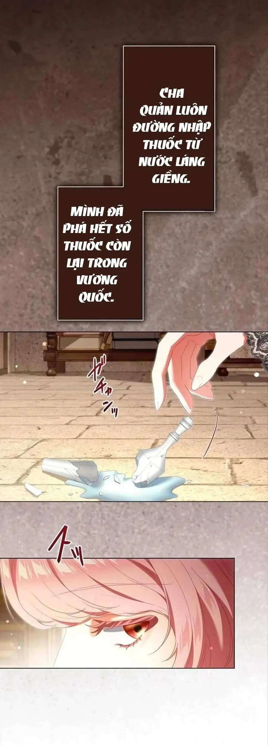 Chiêm Ngưỡng Nữ Phản Diện Hoàn Hảo Chapter 33 - Trang 21