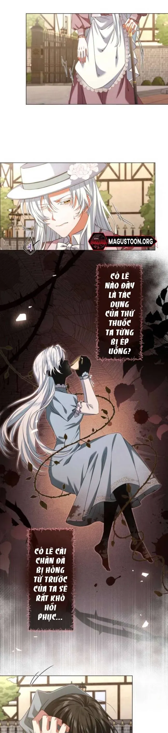 Chiêm Ngưỡng Nữ Phản Diện Hoàn Hảo Chapter 4 - Trang 3