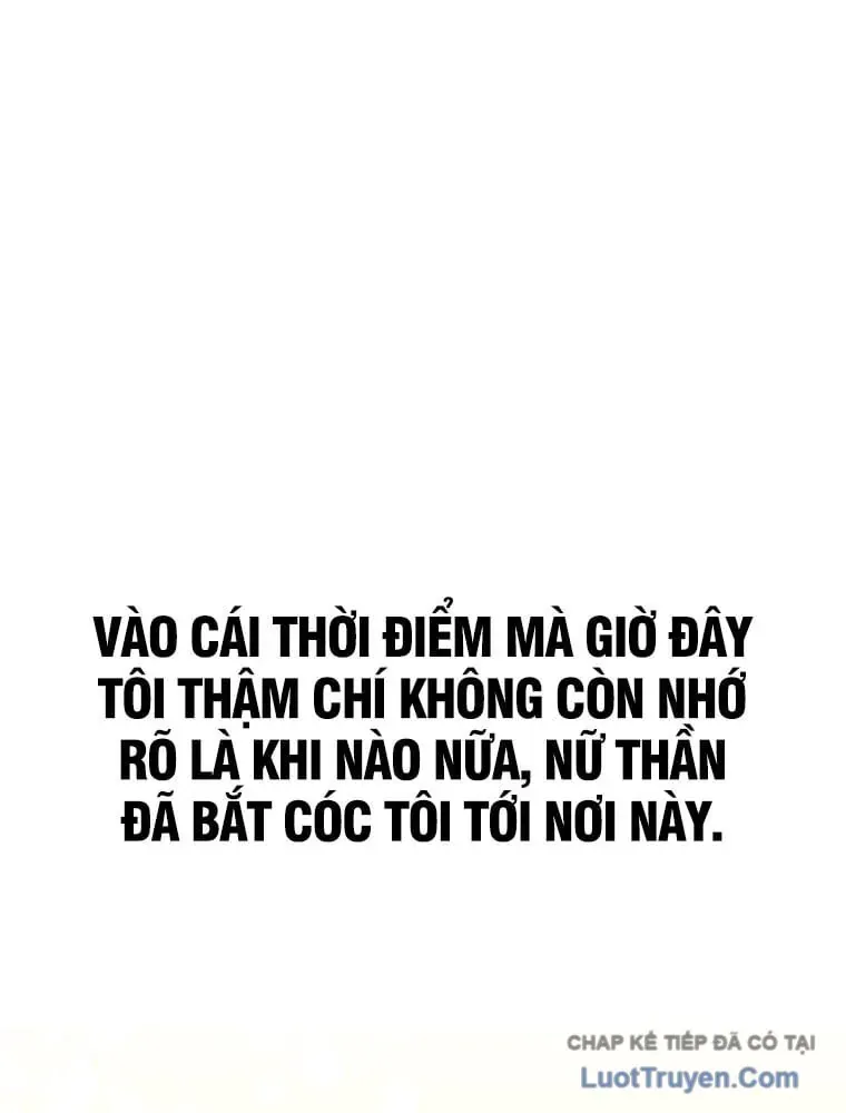 Chiến Lược Livestream Ẩn Giấu Của Kẻ Hồi Quy Chapter 1 - Trang 44