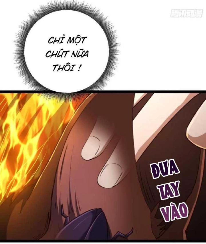 Chiến Sĩ Vi Vương Chapter 6 - Trang 15