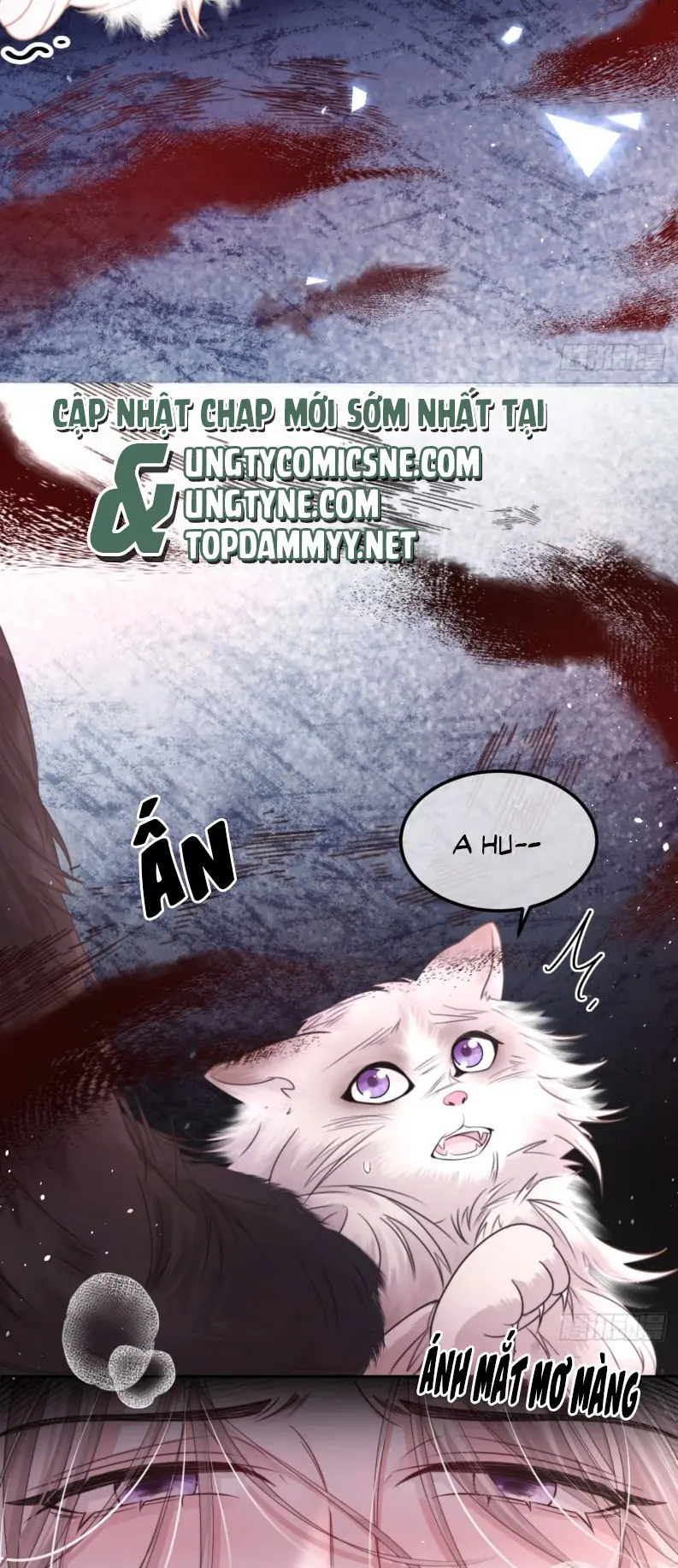 Chim Trong Lồng Chapter 2 - Trang 20