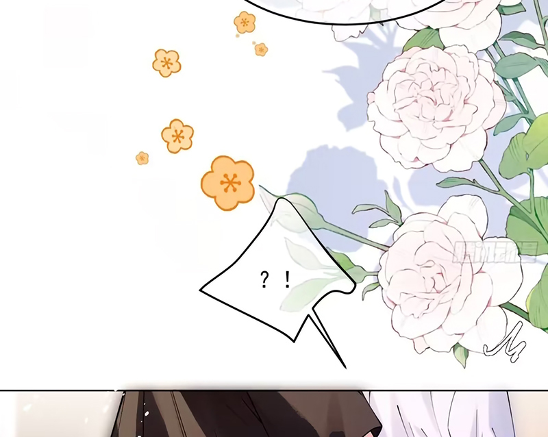 Chim Trong Lồng Chapter 24 - Trang 17