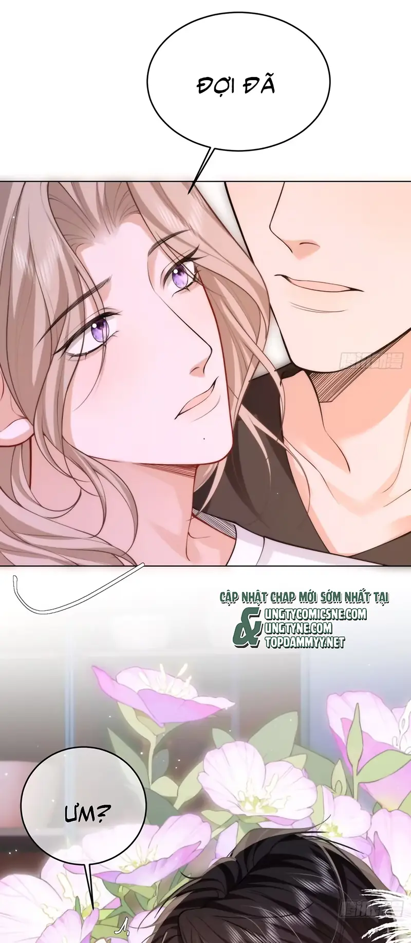 Chim Trong Lồng Chapter 24 - Trang 4