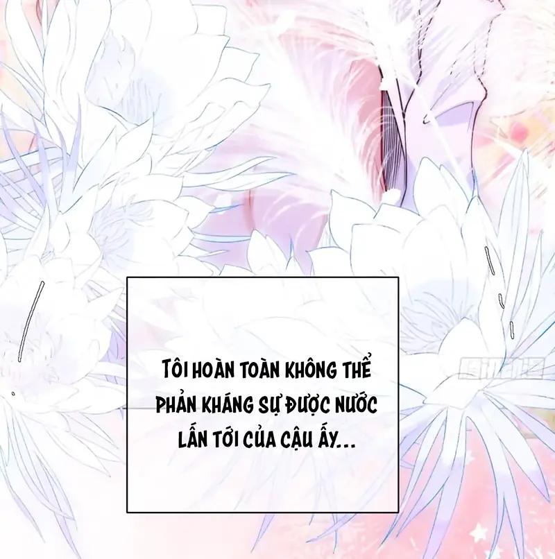 Chim Trong Lồng Chapter 24 - Trang 7