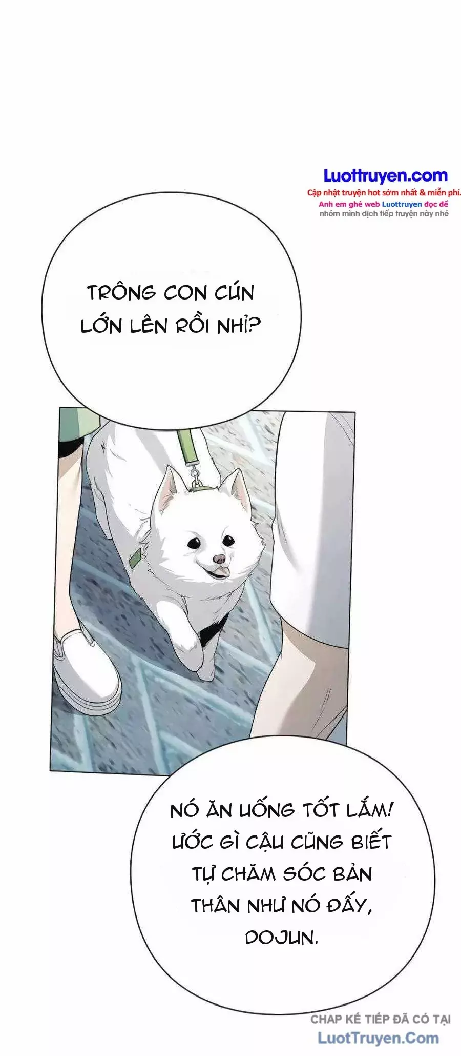 Chính Trị Gia Nhìn Thấu Vận Mệnh Chapter 27 - Trang 18
