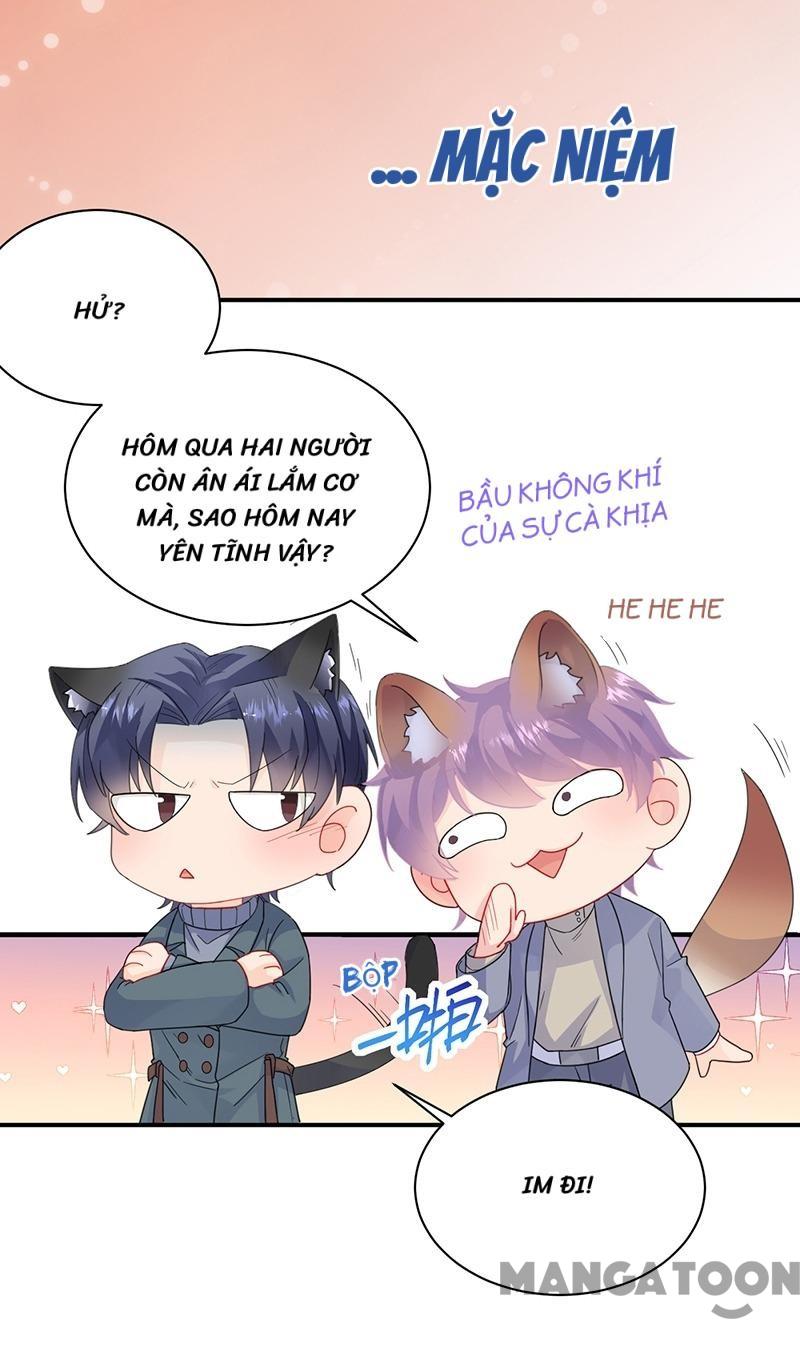 Chọc Tới Chủ Tịch Tổng Tài 2 Chapter 102 - Trang 18
