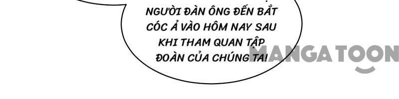 Chọc Tới Chủ Tịch Tổng Tài 2 Chapter 105 - Trang 13