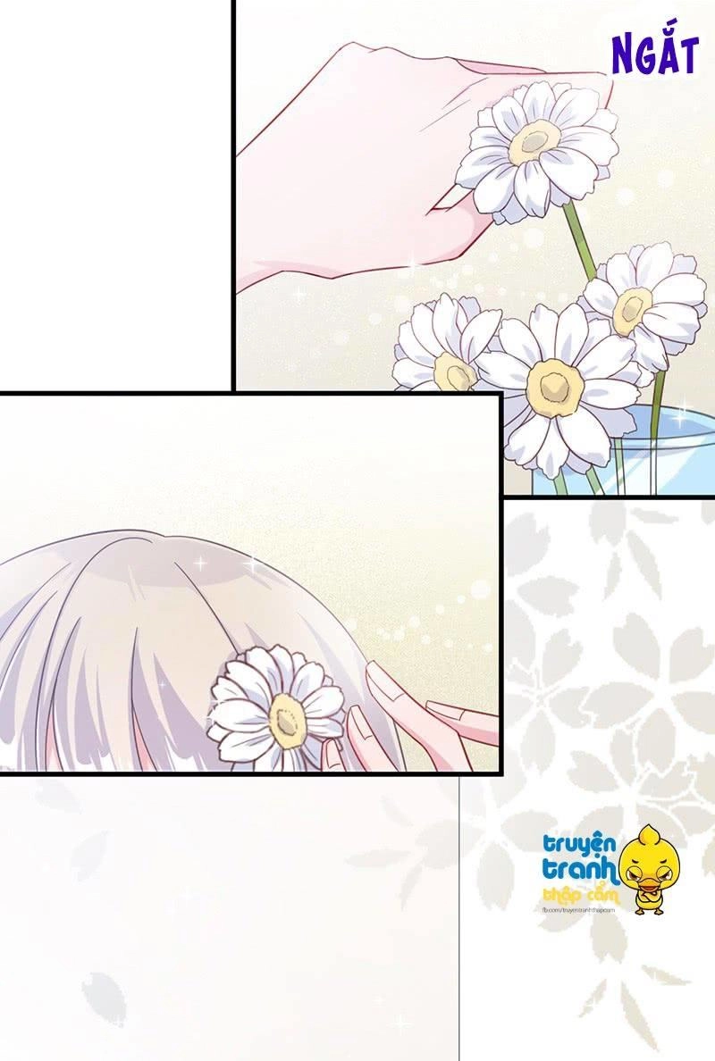 Chọc Tới Chủ Tịch Tổng Tài 2 Chapter 19 - Trang 5