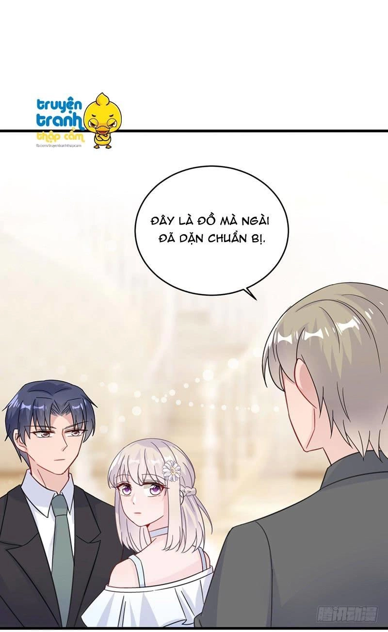Chọc Tới Chủ Tịch Tổng Tài 2 Chapter 20 - Trang 24