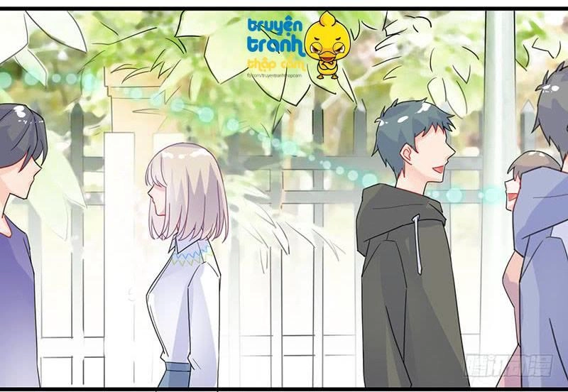 Chọc Tới Chủ Tịch Tổng Tài 2 Chapter 24 - Trang 13
