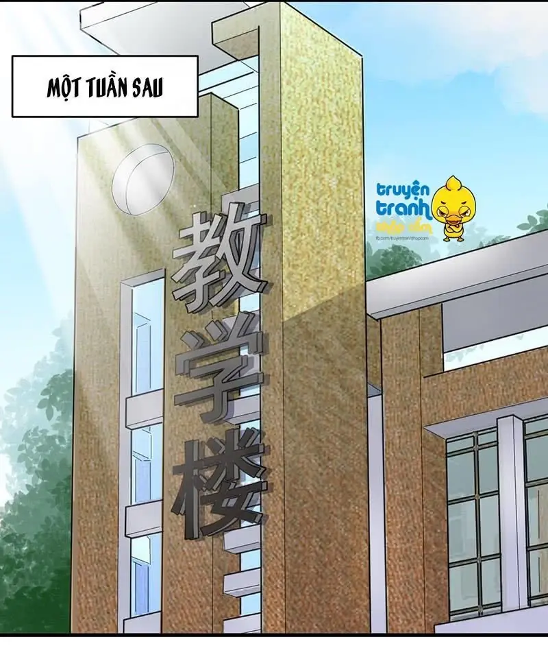 Chọc Tới Chủ Tịch Tổng Tài 2 Chapter 26 - Trang 10