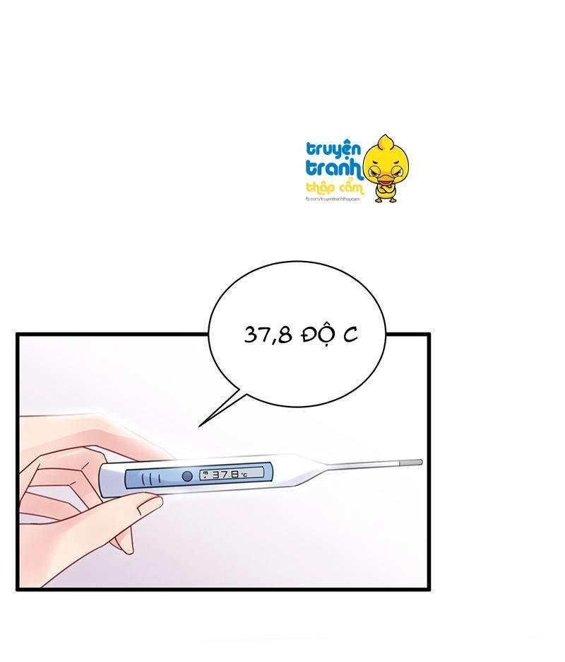 Chọc Tới Chủ Tịch Tổng Tài 2 Chapter 43 - Trang 12