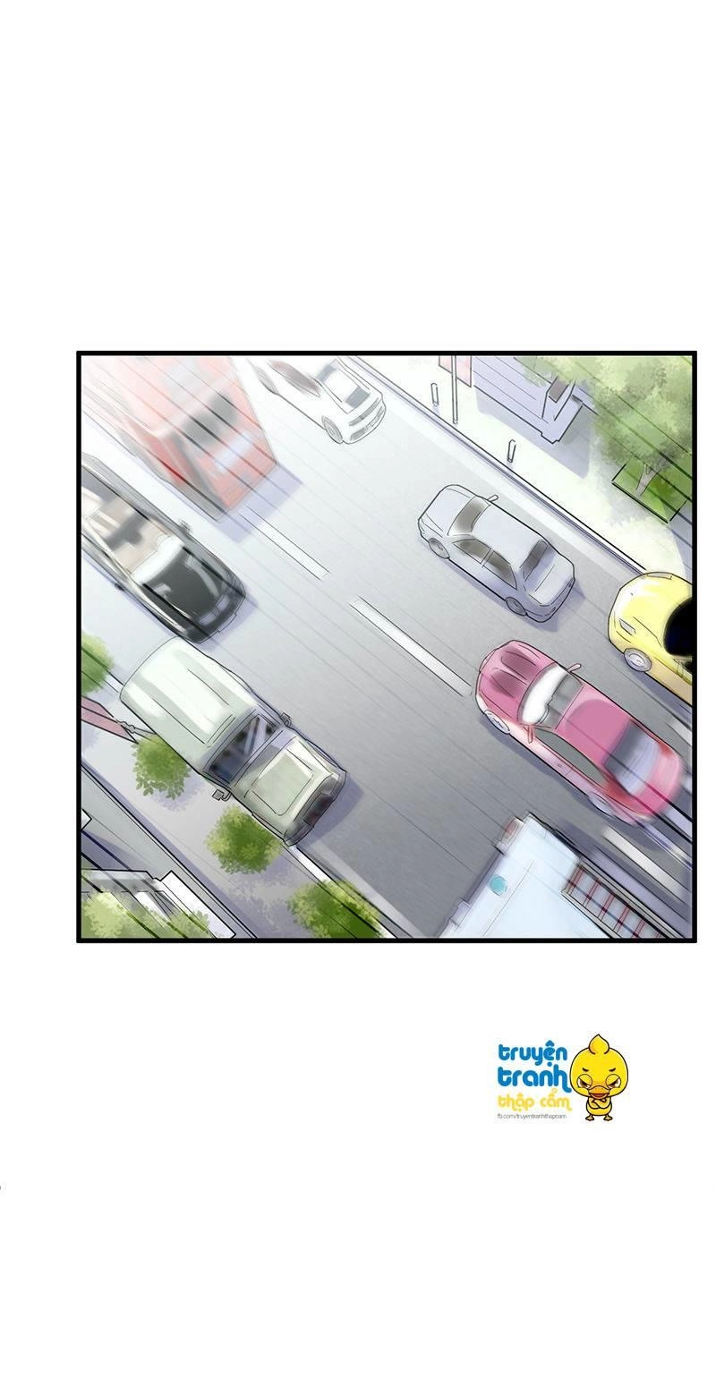 Chọc Tới Chủ Tịch Tổng Tài 2 Chapter 44 - Trang 12