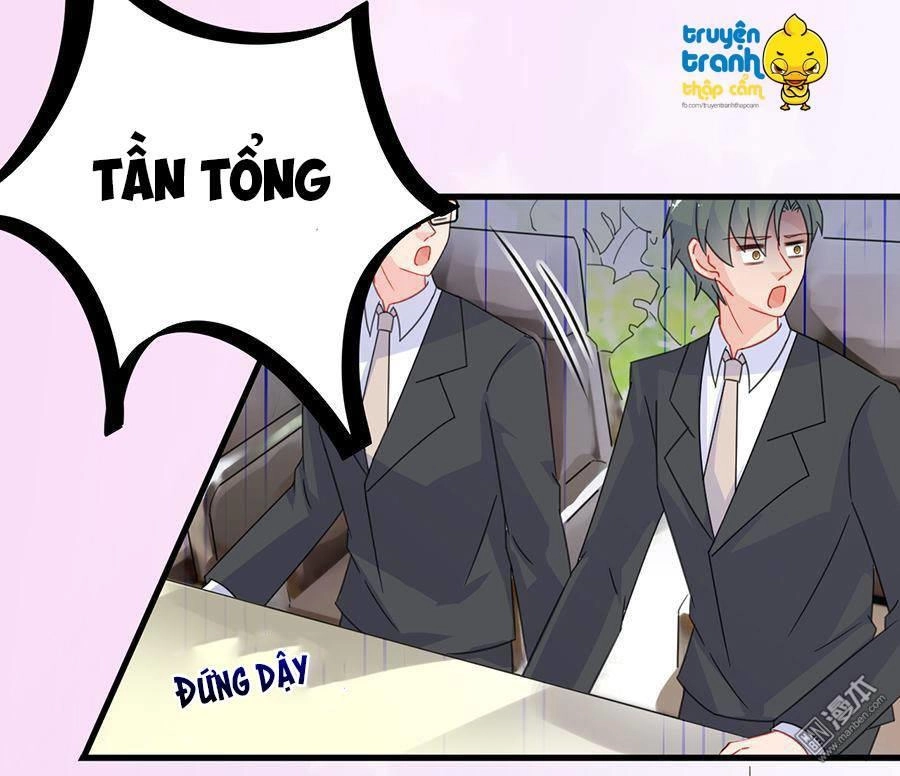 Chọc Tới Chủ Tịch Tổng Tài 2 Chapter 5 - Trang 5