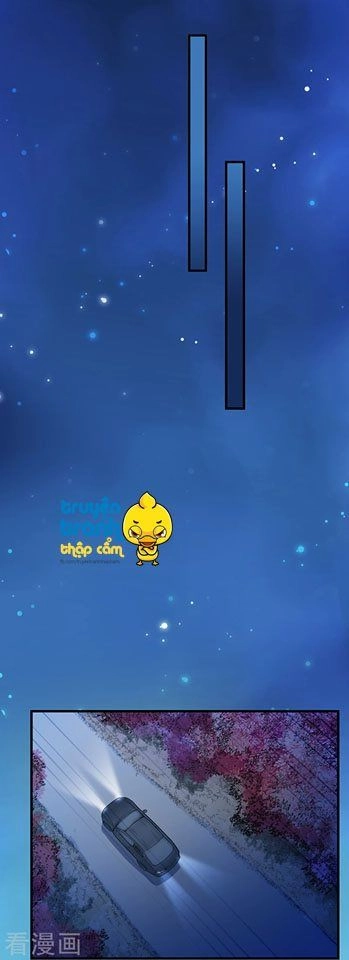 Chọc Tới Chủ Tịch Tổng Tài 2 Chapter 66 - Trang 24