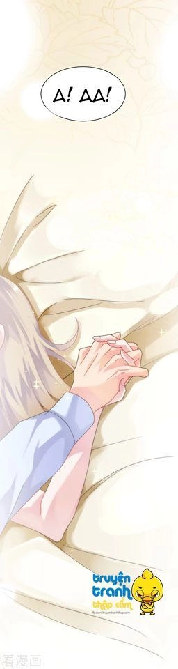 Chọc Tới Chủ Tịch Tổng Tài 2 Chapter 68 - Trang 11