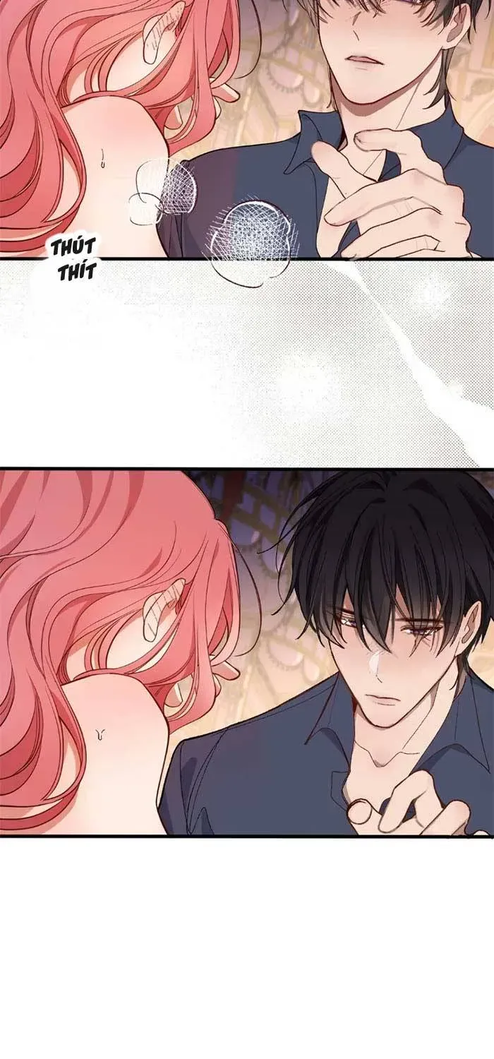 Chồng Hợp Đồng Nhưng Lại Nghiện Vợ Không Buông Chapter 4 - Trang 15