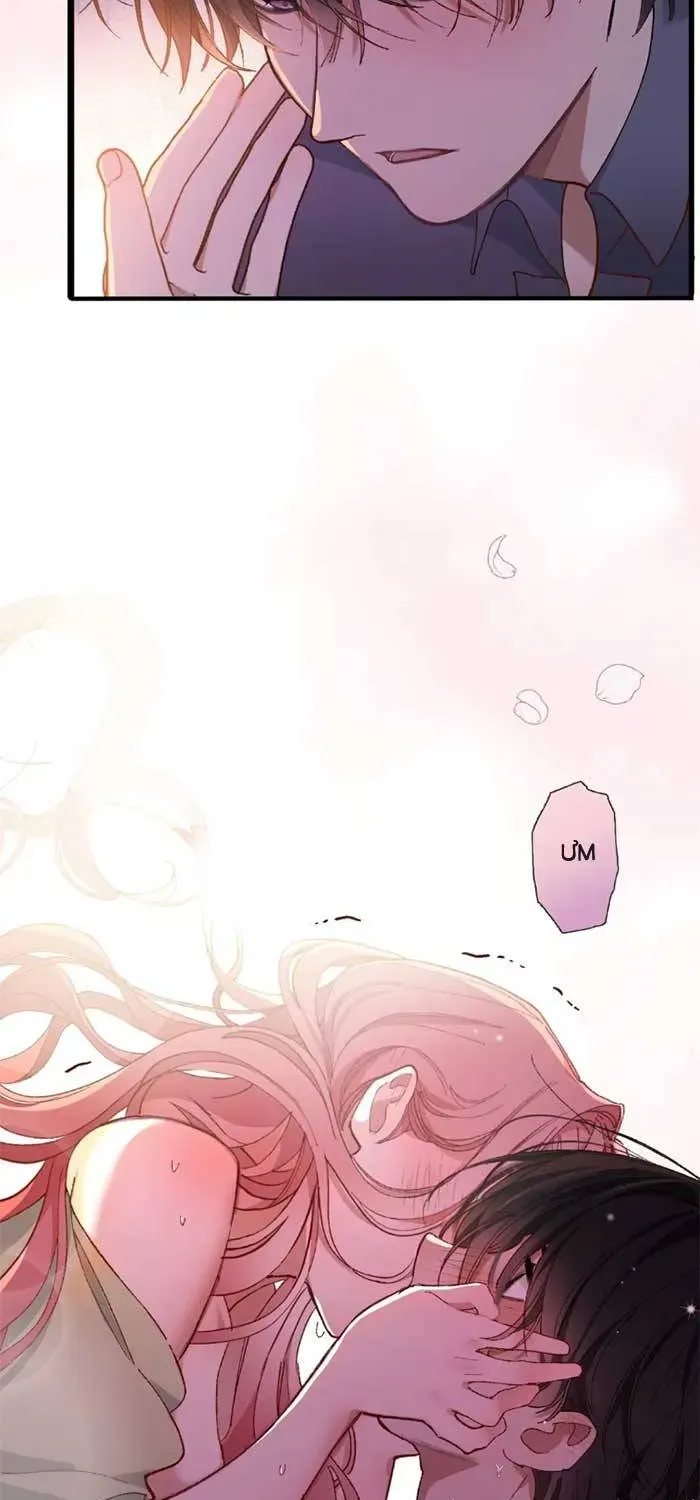 Chồng Hợp Đồng Nhưng Lại Nghiện Vợ Không Buông Chapter 4 - Trang 35