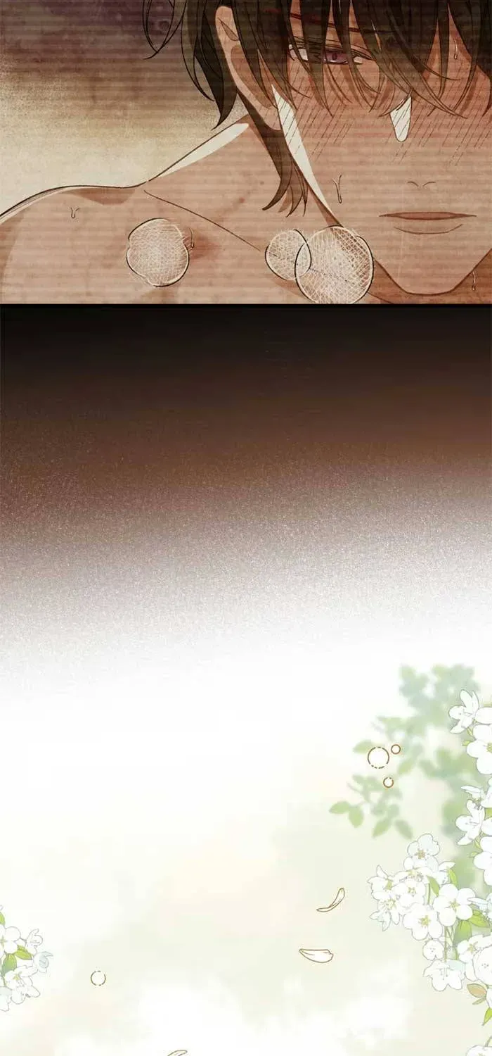 Chồng Hợp Đồng Nhưng Lại Nghiện Vợ Không Buông Chapter 5 - Trang 41
