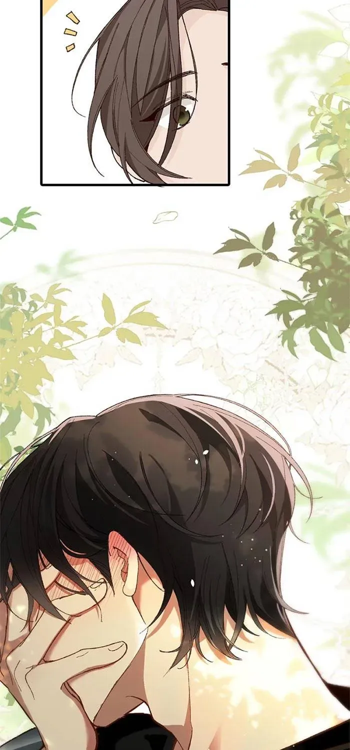 Chồng Hợp Đồng Nhưng Lại Nghiện Vợ Không Buông Chapter 6 - Trang 12